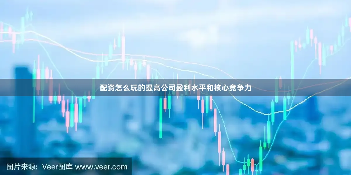 配资怎么玩的提高公司盈利水平和核心竞争力